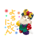 ノルウェージャンと愉快なにゃかま達（個別スタンプ：2）