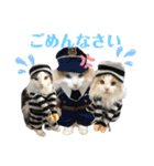 ノルウェージャンと愉快なにゃかま達（個別スタンプ：24）