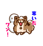 柴犬小豆スタンプ（個別スタンプ：3）