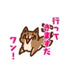 柴犬小豆スタンプ（個別スタンプ：4）