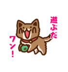 柴犬小豆スタンプ（個別スタンプ：12）