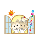 はみがきシバチャン（個別スタンプ：1）