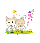 はみがきシバチャン（個別スタンプ：5）