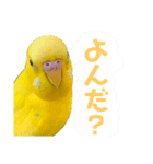 たまとなかまたち2（個別スタンプ：1）