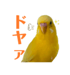 たまとなかまたち2（個別スタンプ：3）