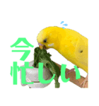 たまとなかまたち2（個別スタンプ：4）