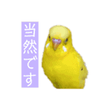 たまとなかまたち2（個別スタンプ：5）