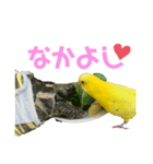 たまとなかまたち2（個別スタンプ：8）