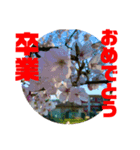 卒業 入学 おめでとう！！（個別スタンプ：1）