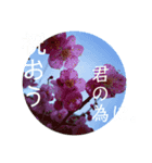 卒業 入学 おめでとう！！（個別スタンプ：7）
