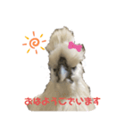 うこっけいのふうちゃん ごあいさつ（個別スタンプ：2）