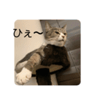 ちびみや13（個別スタンプ：9）