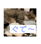 ちびみや13（個別スタンプ：18）