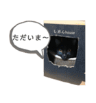 我が家の毛玉ちゃん（個別スタンプ：19）