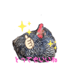 ジャッコちゃんとヘッコちゃん 感謝（個別スタンプ：2）