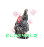 ジャッコちゃんとヘッコちゃん 感謝（個別スタンプ：5）