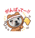 フレンチブルドッグのいちごちゃん1（個別スタンプ：11）