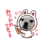 フレンチブルドッグのいちごちゃん1（個別スタンプ：13）