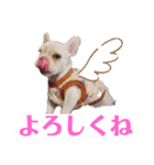 フレンチブルドッグのいちごちゃん1（個別スタンプ：23）