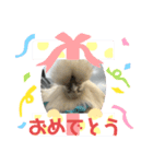 うこっけいのふうちゃん 波に乗る（個別スタンプ：7）