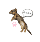 haru0528（個別スタンプ：2）
