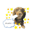haru0528（個別スタンプ：7）