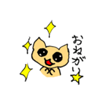 いろいろ使える猫スタンプ（個別スタンプ：29）