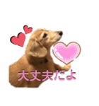 愛犬さっくん2（個別スタンプ：16）