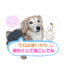 愛犬さっくん2（個別スタンプ：21）