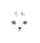 顔で伝える 動物編（個別スタンプ：17）