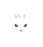 顔で伝える 動物編（個別スタンプ：28）