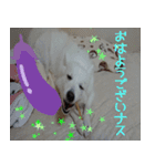 あいさつ・アラカルト（個別スタンプ：2）