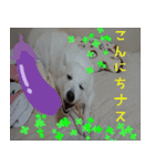 あいさつ・アラカルト（個別スタンプ：3）