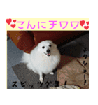 あいさつ・アラカルト（個別スタンプ：4）