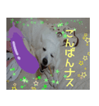 あいさつ・アラカルト（個別スタンプ：5）