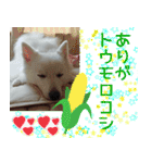 あいさつ・アラカルト（個別スタンプ：7）