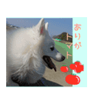 あいさつ・アラカルト（個別スタンプ：8）