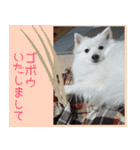 あいさつ・アラカルト（個別スタンプ：9）