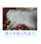 あいさつ・アラカルト（個別スタンプ：14）