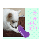 あいさつ・アラカルト（個別スタンプ：18）