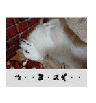 あいさつ・アラカルト（個別スタンプ：22）