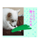 あいさつ・アラカルト（個別スタンプ：23）