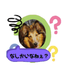 らりちゃん・博多弁たい（個別スタンプ：9）