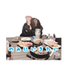 こはるてゃすたんぷ（個別スタンプ：4）