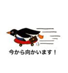 ビジネスペンギン君（個別スタンプ：1）