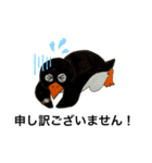 ビジネスペンギン君（個別スタンプ：11）