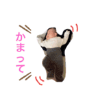 弥央ちゃんスタンプ2（個別スタンプ：20）