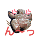 弥央ちゃんスタンプ2（個別スタンプ：30）