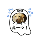 黄色いお方（個別スタンプ：6）