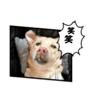 黄色いお方（個別スタンプ：7）